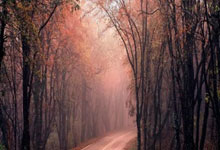 库里，西亚卡姆，绝杀战胜！